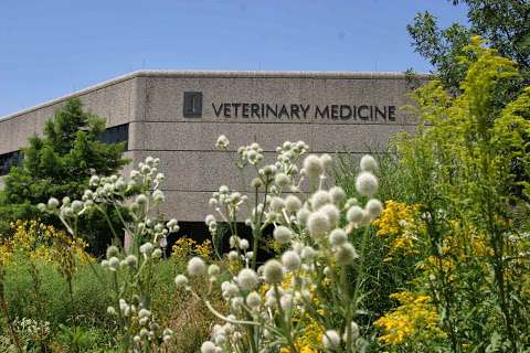 University of Illinois College of Veterinary Medicine